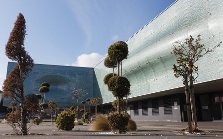 La Cité De La Dentelle Et De La Mode De Calais