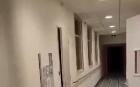 Les Vidéos de nos abonnés